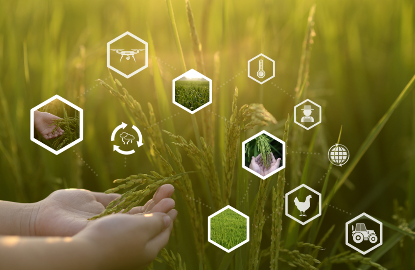 解讀！數字農業三大創新方式，數農迎來新革命