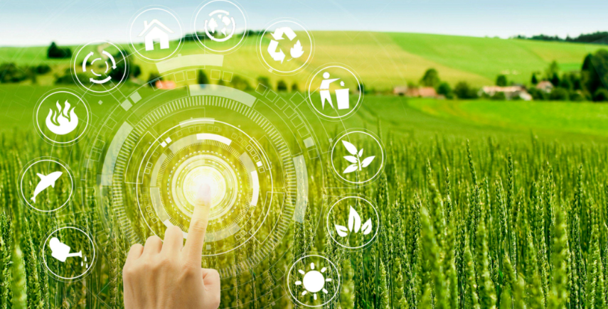 【數字鄉村】陸益龍：“數字下鄉”：數字鄉村建設的經驗、困境及方向