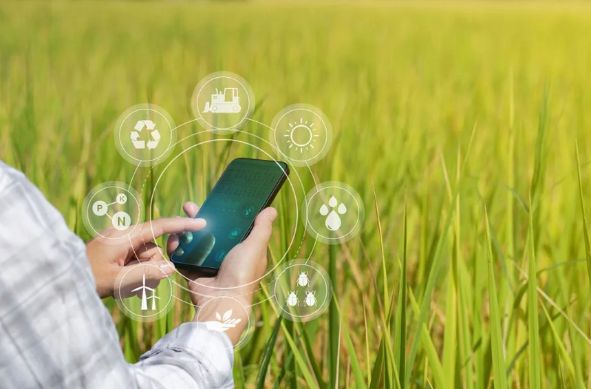 霍鵬等 | 數字鄉村建設的底層邏輯、功能價值與路徑選擇