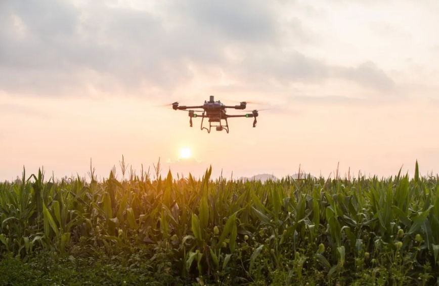 淺析！智慧農業9大賺錢模式，哪一個更牛