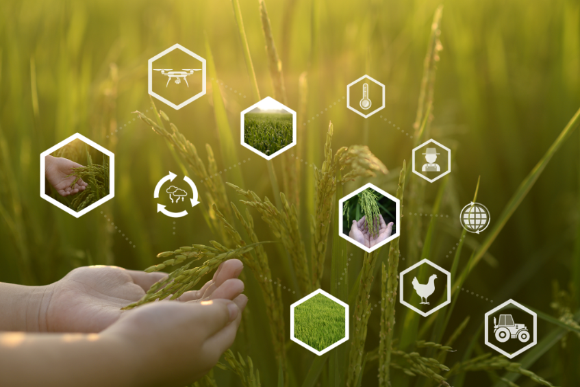 解讀！數字農業三大創新方式，數農迎來新革命