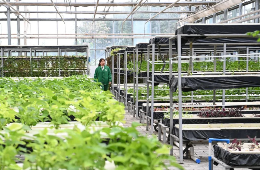 智慧農業：跨領域融合，重塑農業未來