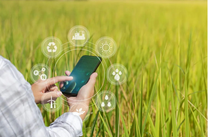 【數字鄉村】用好現代信息技術：大力提升鄉村數字治理能力