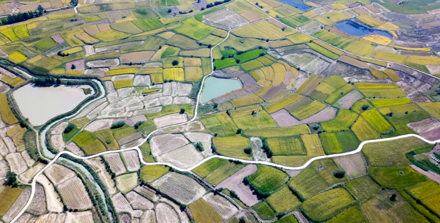 【數字鄉村】全國人大代表劉宏志：深化數字技術應用 提升鄉村治理效能