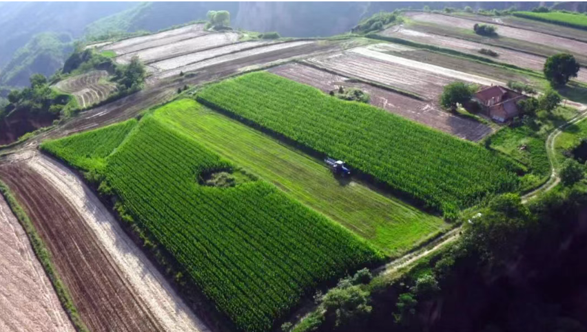 智慧農業：解碼盈利之道，從技術創新到商業閉環的深度剖析