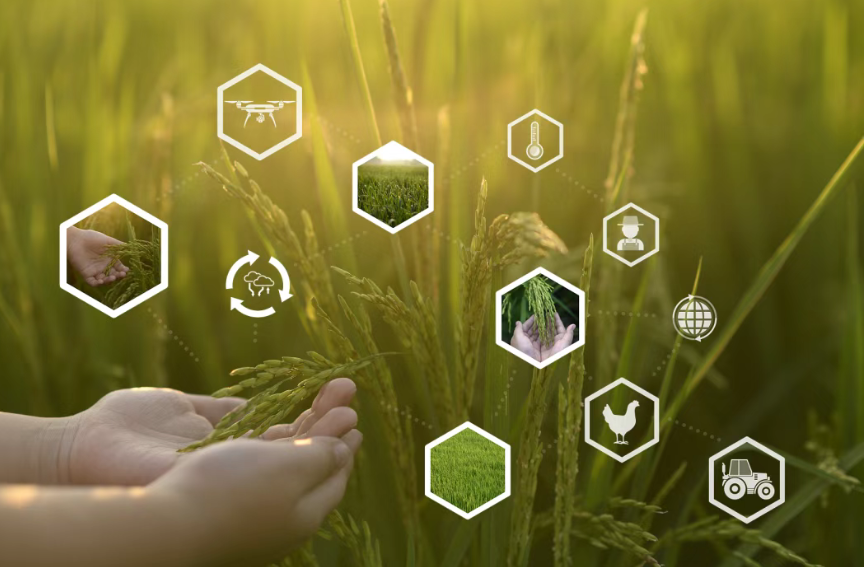 解讀！數字農業三大創新方式，數農迎來新革命