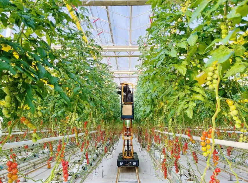 【智慧農業】科技改變生活----智慧農場