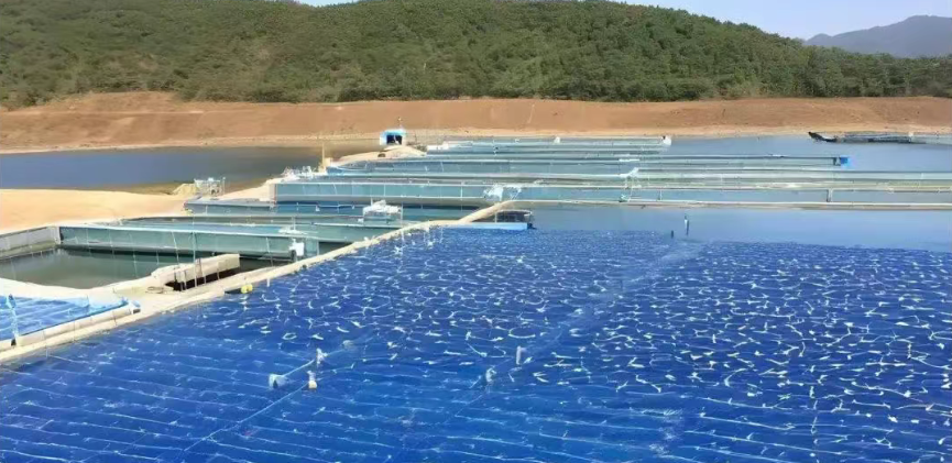 【智慧農業】智慧漁業：解鎖工廠化循環水養殖的數字密碼