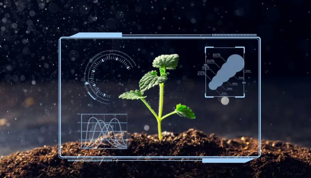 拆解！農業數字化的重要性——解讀數字農業五大特點