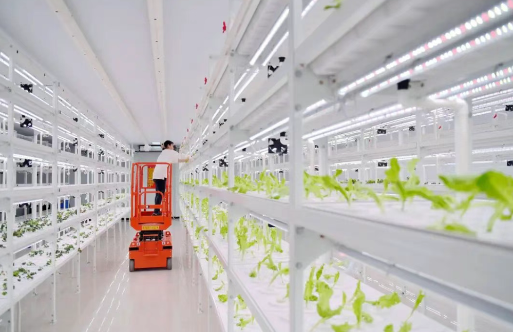 【智慧農業】4個案例，帶你了解“5G+智慧農業”應用新場景