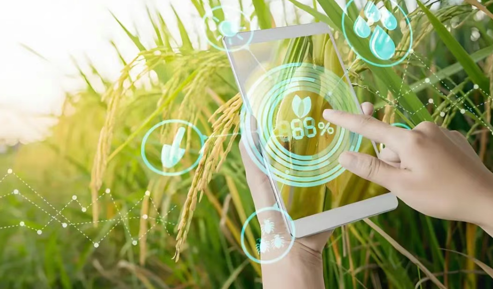 驚嘆！2025年全球農業科技五大趨勢預測