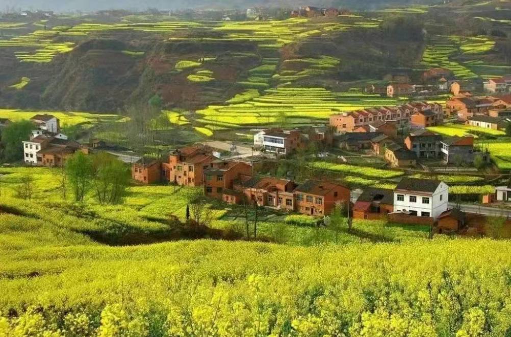 深度分析|我國數字鄉村建設的重點、難點及方向