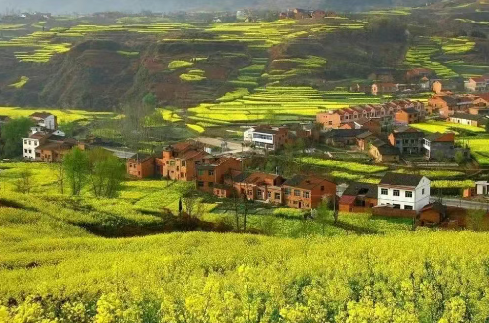 深度分析|我國數字鄉村建設的重點、難點及方向