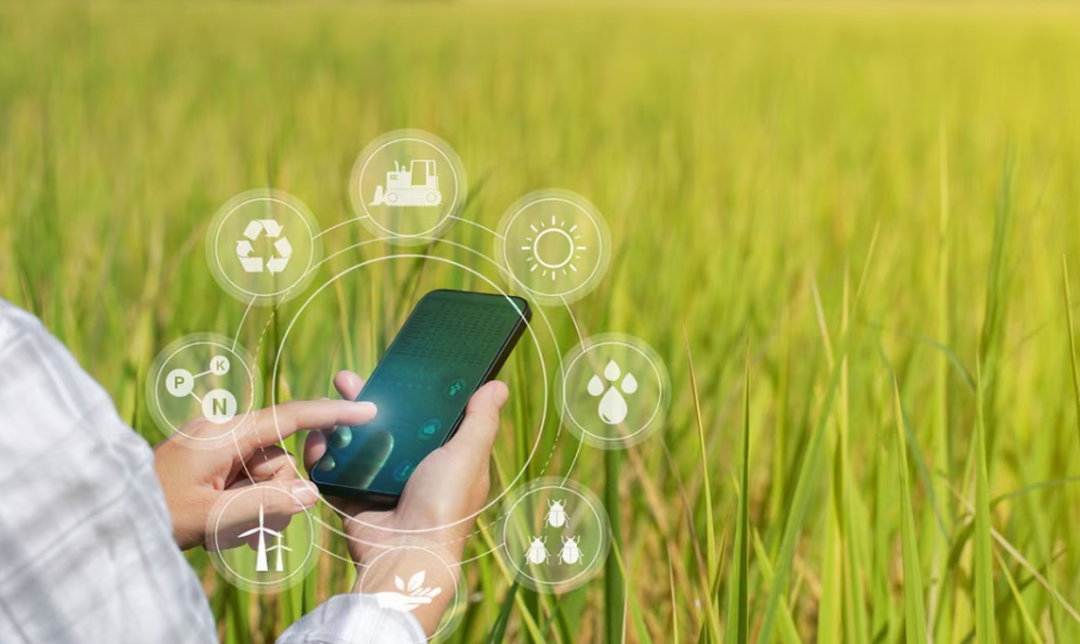 數字鄉村建設發展：成效、問題及對策分析