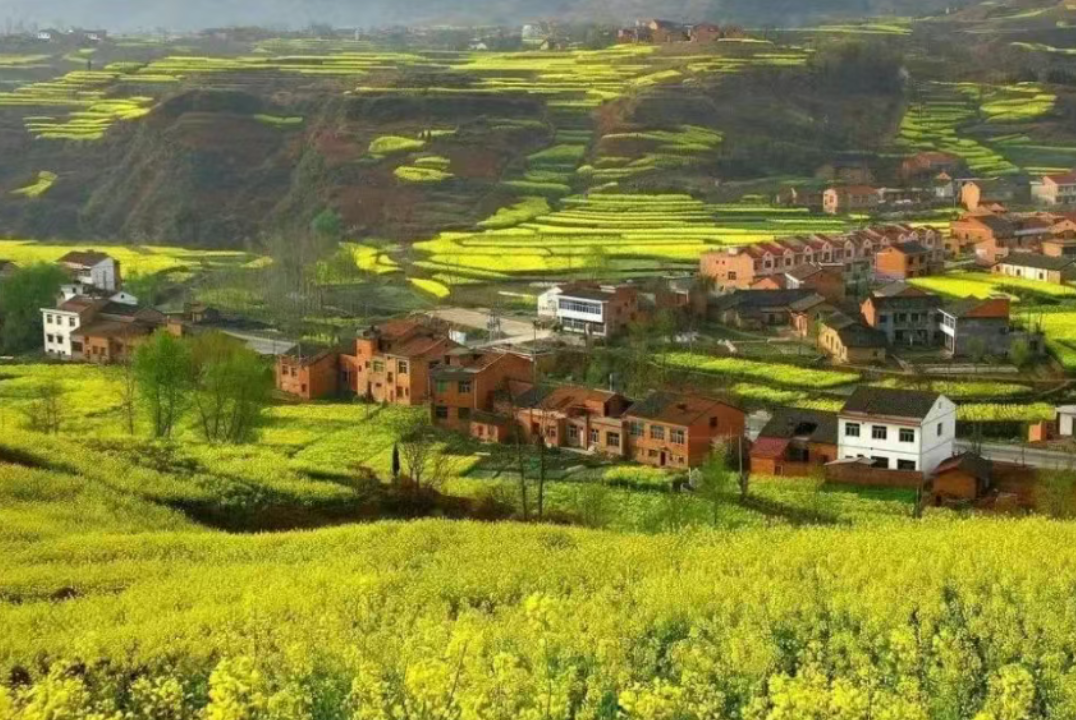 深度分析|我國數字鄉村建設的重點、難點及方向