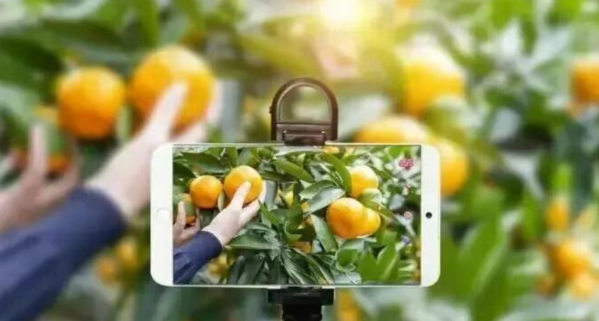 農業現代化如何數字轉型？附5條路徑