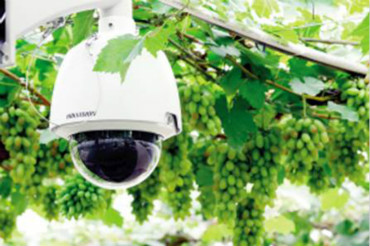 “智慧農(nóng)業(yè)”成為了農(nóng)業(yè)發(fā)展的“新寵兒”？