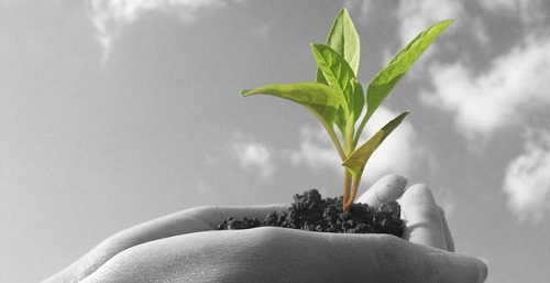 大數據下的未來智慧農業發展趨勢