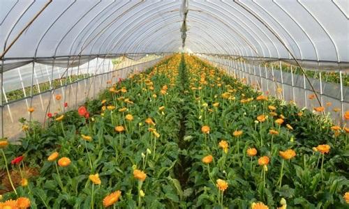 熱評 | 科技、生態、高效？你真的了解“智慧農業”嗎？