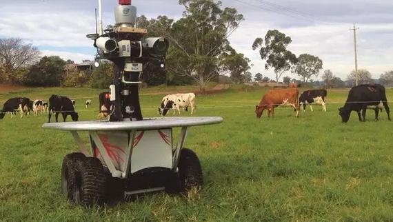 智慧農業，具體怎么搞？他山之石，拿來用之！