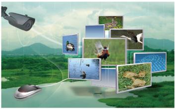 智慧農業的真實內涵