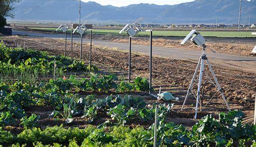 農業大數據，未來智慧農業的發展猜想