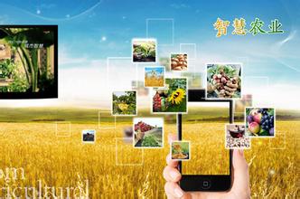 智慧農業發展的三大方向和模式