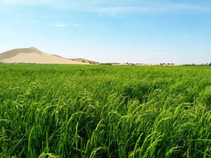 微信圖片_20171211094205 1.jpg