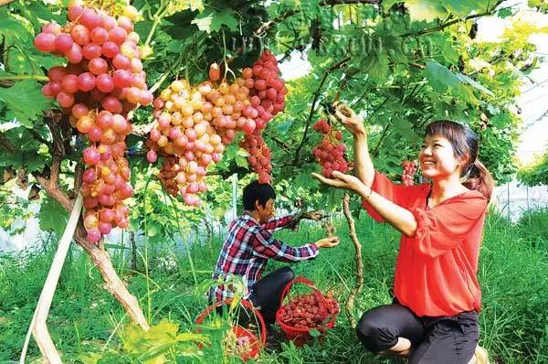 微信圖片_20171211094231 5.jpg