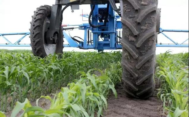 22.jpg 恒大、碧桂園、騰訊、阿里、京東入局農業,5大致命問題依然難解