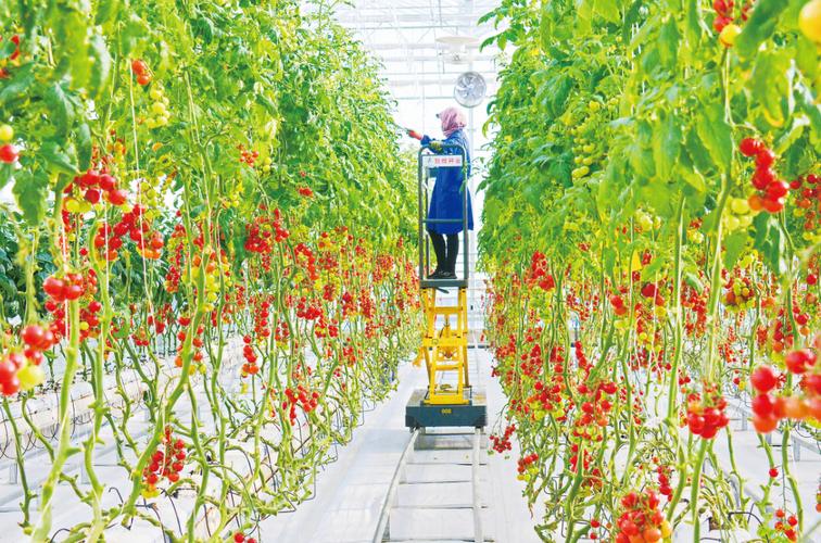 敦煌種業(yè)：投資成立新公司 經(jīng)營(yíng)范圍含智能農(nóng)業(yè)管理