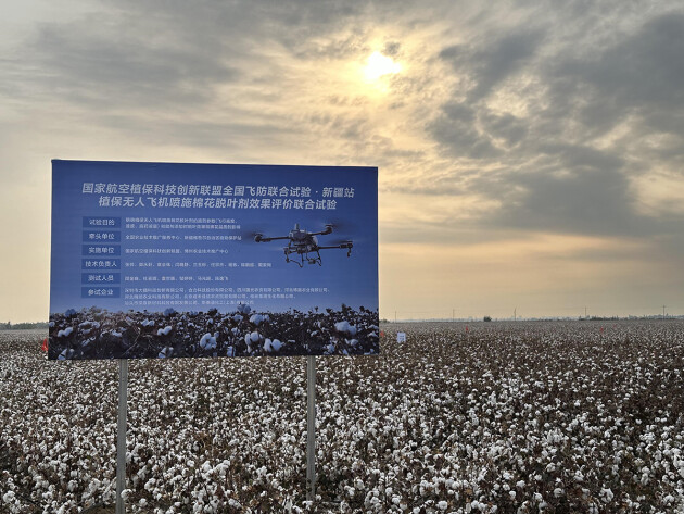 國家航空植保聯盟驗證無人機噴施技術：棉花脫葉率超90%