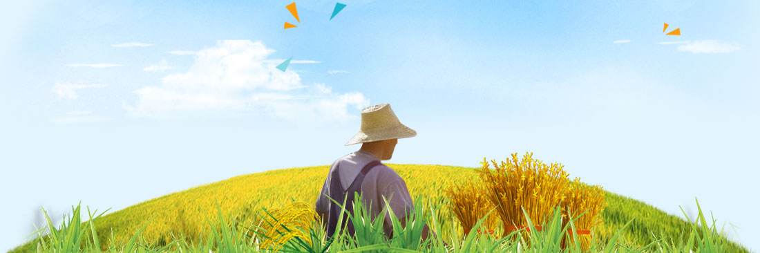 2017年政府工作報告發布：三農10大主題方向成焦點、事關9億農民