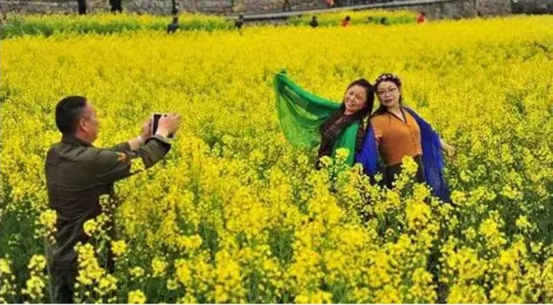 互聯(lián)網(wǎng)+農(nóng)業(yè)+鄉(xiāng)村旅游！國(guó)家發(fā)文明確鄉(xiāng)村旅游升級(jí)新方案