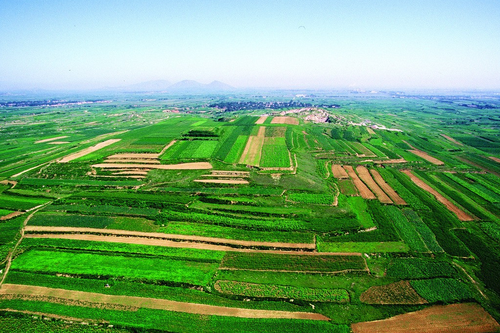 農業創新經營|快閃店+農業、社區支持農業、我的雞籠、下地點菜