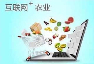 互聯(lián)網(wǎng)+農(nóng)業(yè)主要流派及發(fā)展趨勢(shì)分析