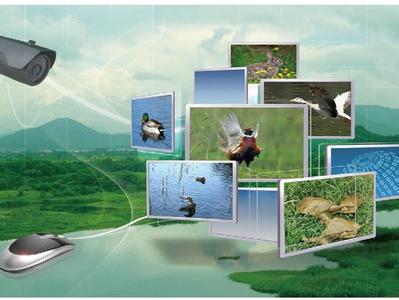 六大商業模式 撬動“互聯網+農業”