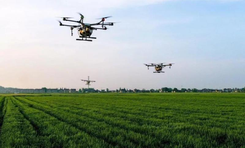 4.jpg 農業產業周報|(2018.11.26—12.02)