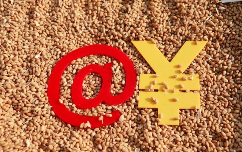 1.jpg 終于出手了!華為切入農(nóng)業(yè):與袁隆平合作,想做“互聯(lián)網(wǎng)農(nóng)場(chǎng)”