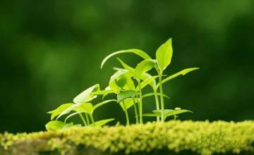 如何破解有機農(nóng)業(yè)發(fā)展“瓶頸”？有機農(nóng)業(yè)發(fā)展應(yīng)該如何走？