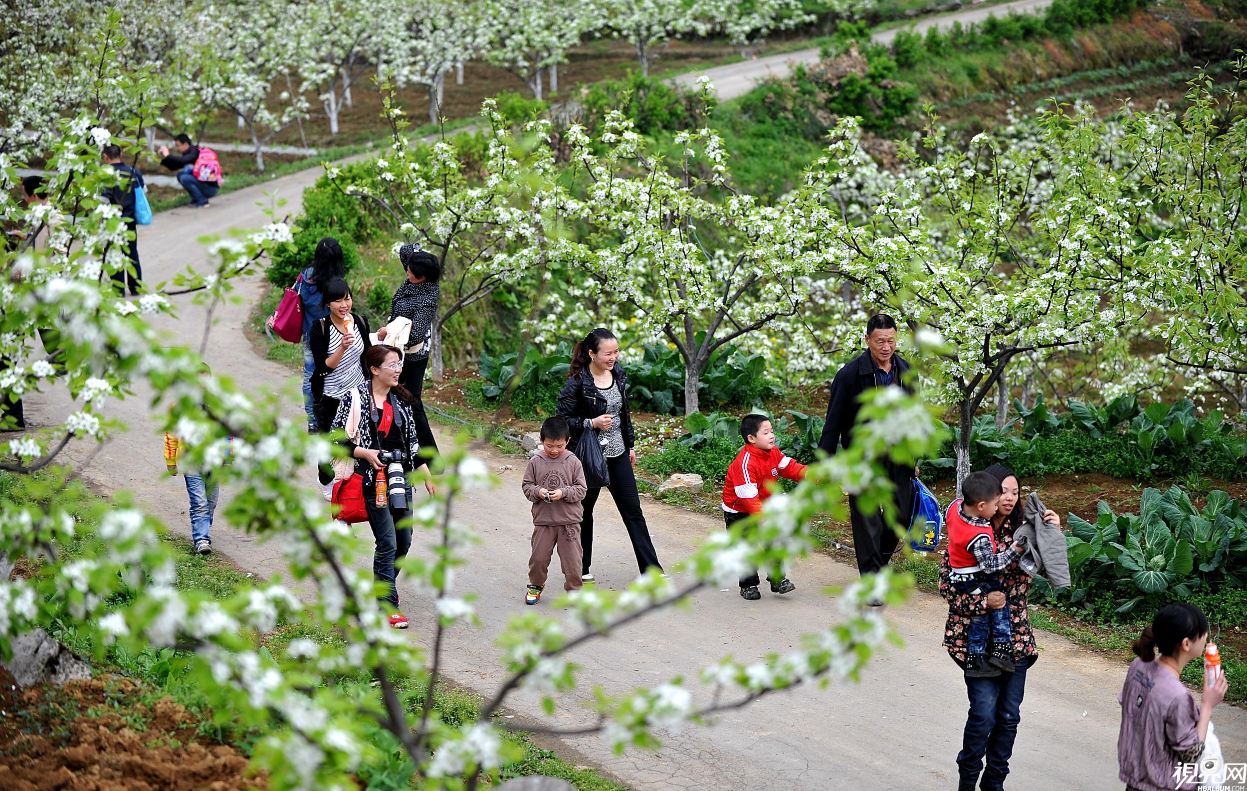 做有機(jī)農(nóng)業(yè)90%在虧損！有機(jī)農(nóng)業(yè)產(chǎn)業(yè)化成未來方向