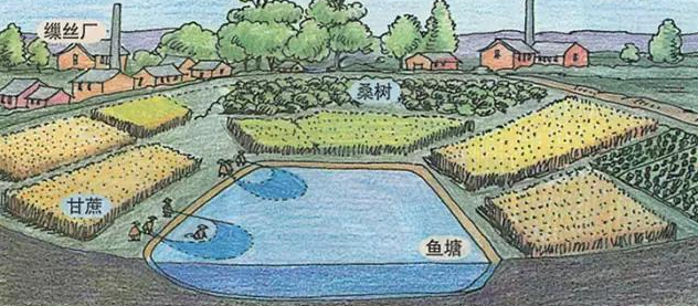 現(xiàn)代農(nóng)業(yè)到底該如何發(fā)展？循環(huán)農(nóng)業(yè)成了趨勢(shì)！