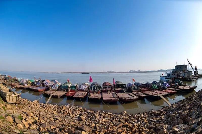 大深度|農(nóng)業(yè)部推進(jìn)綠色5大行動(dòng)計(jì)劃，影響千萬農(nóng)業(yè)人（附通知）