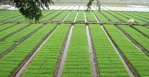 如何玩轉農業全產業鏈？看這10個創新案例