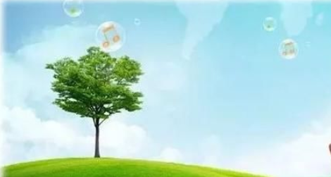 有機農業怎么做？解決這幾個關鍵短板才會有出路！