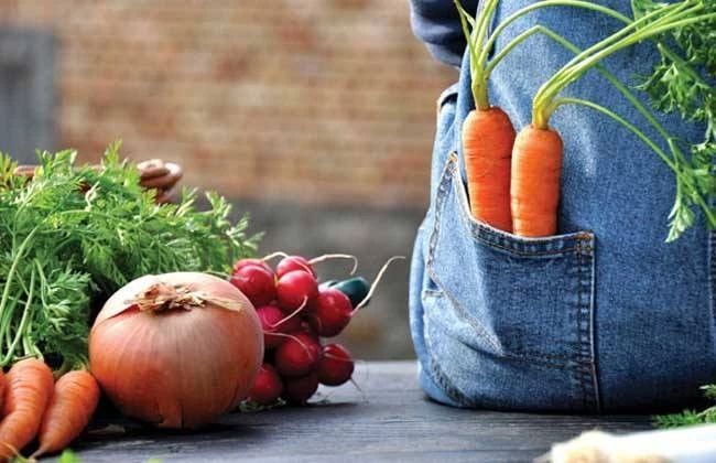 大深度|有機農業遭遇陣痛：盈利困難、土壤有機質差、認證混亂