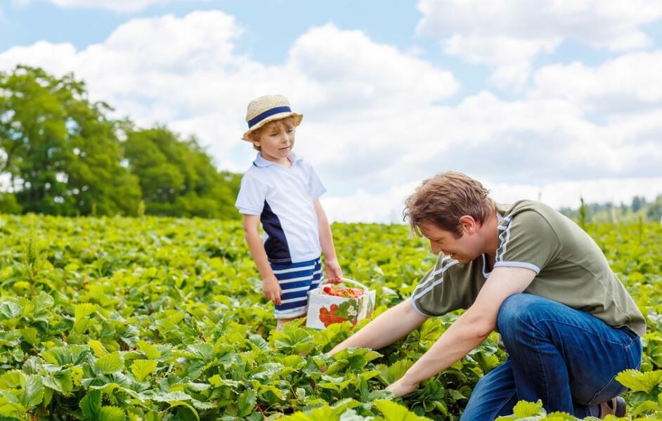 9大罪狀！18個(gè)股東、投資3000萬(wàn)、做了4年的農(nóng)業(yè)項(xiàng)目倒閉了