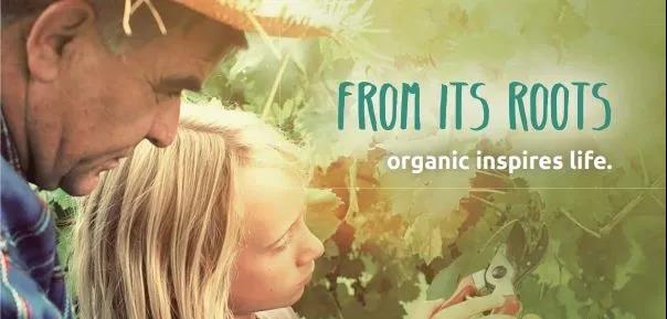 【行業報告】2020年全球有機農業發展報告