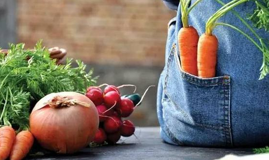 食品安全成為民眾最擔心的問題，有機農業或領導中國農業