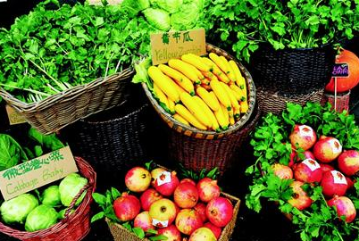 有機農業兩大痛點有待破解